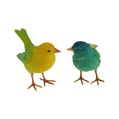 Kiki and Coco birds - Image 4