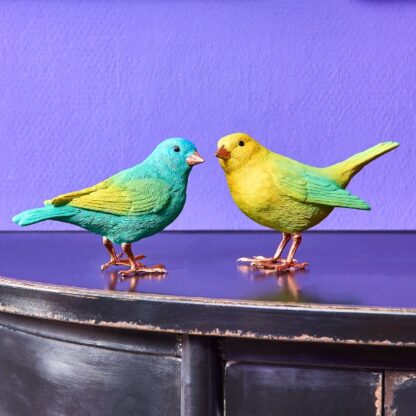 Kiki and Coco birds